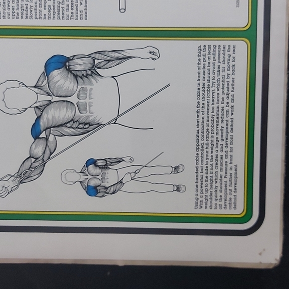 1985 Vintage Bruce Algra Shoulder Workout Fitness Chart Series 16" x 11". - Picture 5 of 7